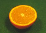 Eine Apfelsine